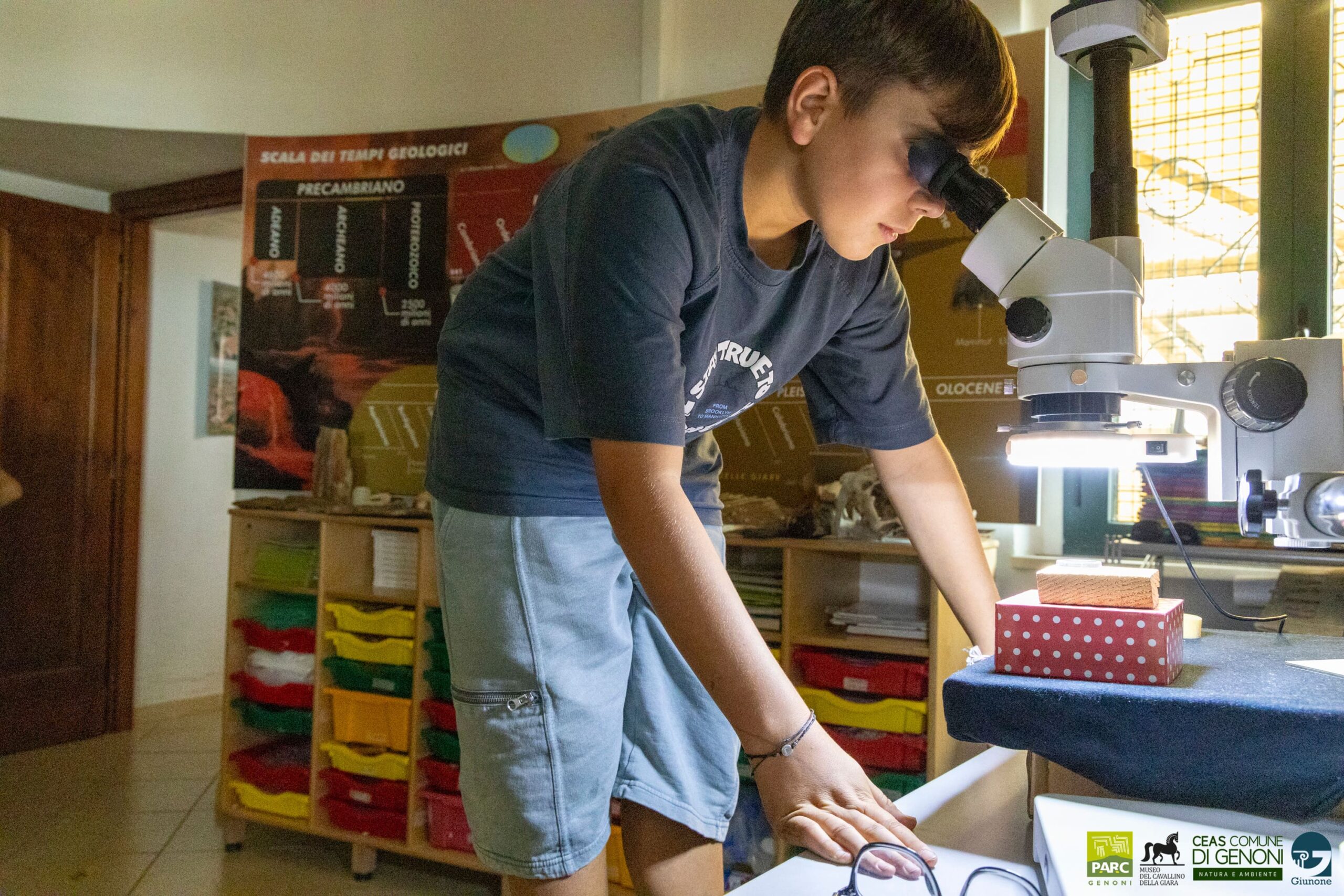 Summer camp of the Junior Paleontologist and Archaeologist - 6GG - Image 2