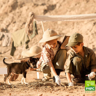 Campi estivi al Museo PARC