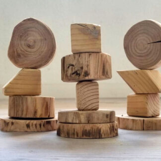 Laboratorio didattico: Costruiamo insieme con il Legno Magico