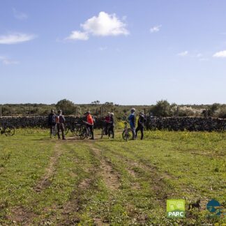 Gruppo con guida cicloturistica nel Parco della Giara