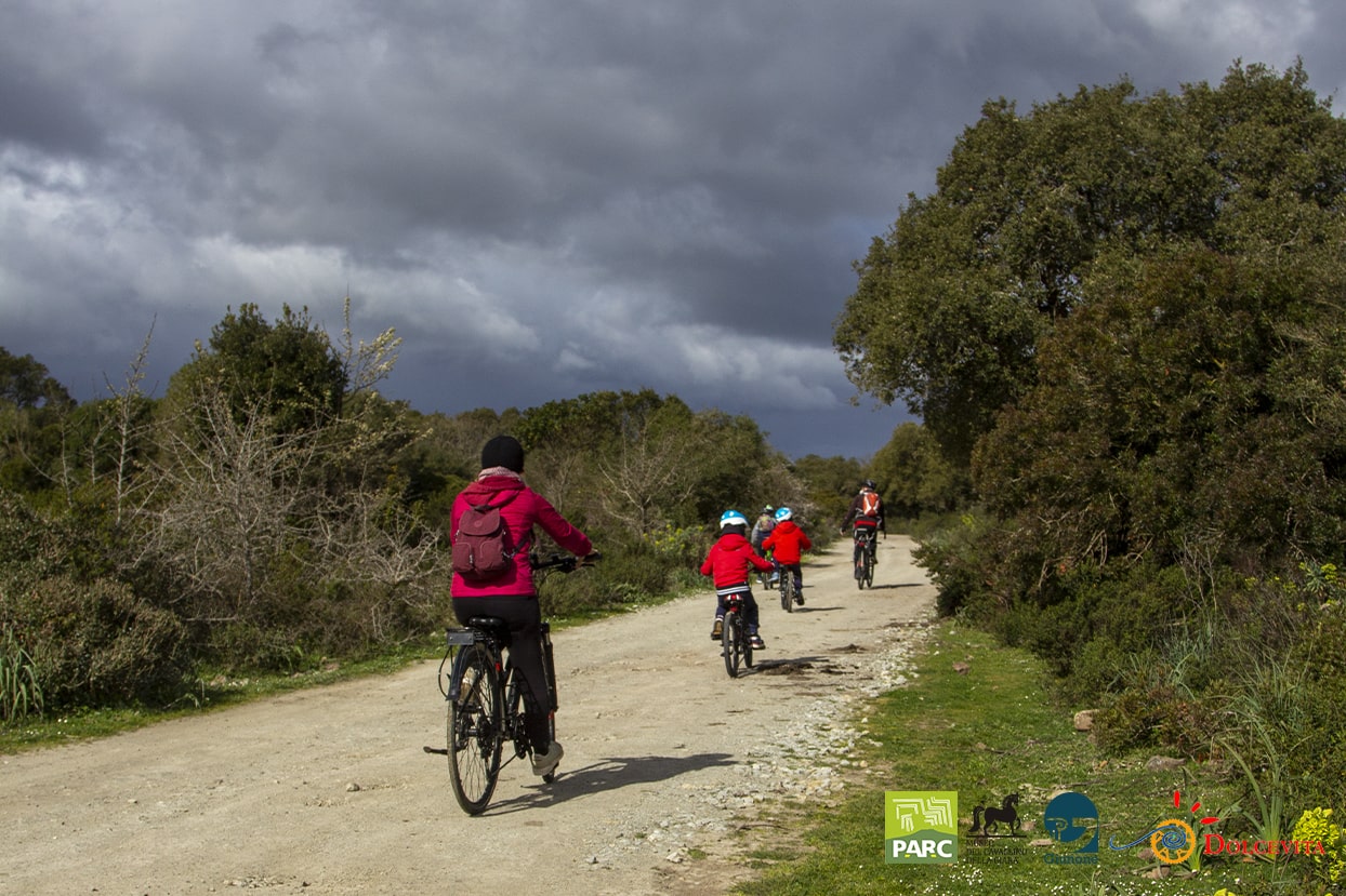 Bike Rental - Image 3